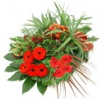 bloemen