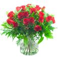 Sympathy Bouquet - Bouquet of red roses